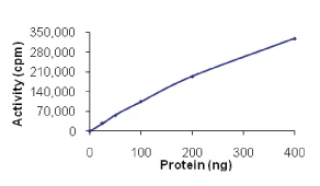Functional Studies - Recombinant human IPL-1/STK13/Aurora C protein (AB63177)