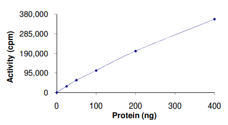Functional Studies - Recombinant human IPL-1/STK13/Aurora C protein (AB63177)