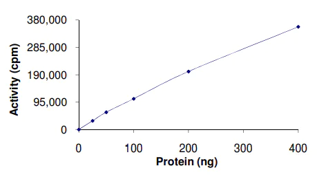 Functional Studies - Recombinant human IPL-1/STK13/Aurora C protein (AB63177)