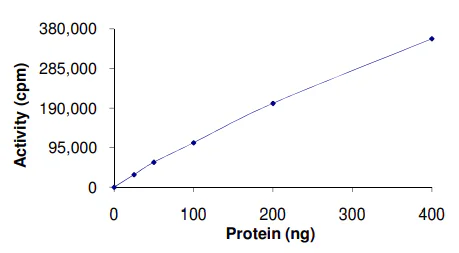 Functional Studies - Recombinant human IPL-1/STK13/Aurora C protein (GST tag N-Terminus) (AB63177)