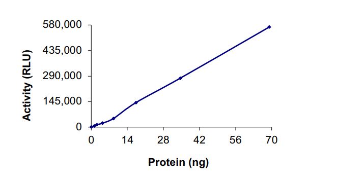 Functional Studies - Recombinant human IRAK-1 protein (AB268679), expandable thumbnail