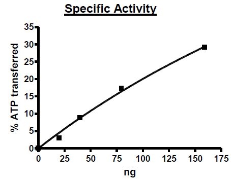 Functional Studies - Recombinant human IRAK-1 protein (Active) (AB271553)