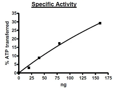 Functional Studies - Recombinant human IRAK-1 protein (Active) (His tag N-Terminus) (AB271553)
