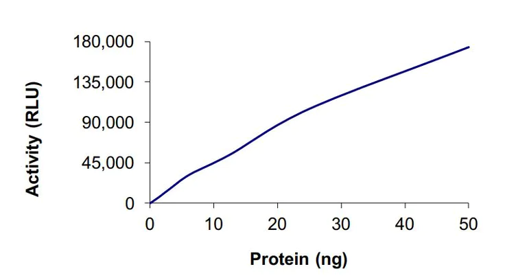 Functional Studies - Recombinant human IRAK-1 protein (Tagged) (AB268680)
