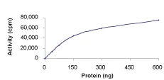 Functional Studies - Recombinant human IRAK2 protein (AB60859)