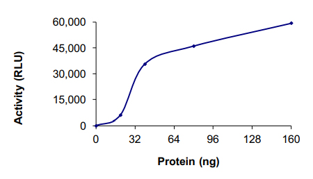 Functional Studies - Recombinant human IRAK2 protein (AB60859), expandable thumbnail