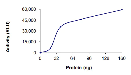 Functional Studies - Recombinant human IRAK2 protein (AB60859)