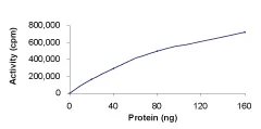Functional Studies - Recombinant human IRAK4 protein (AB60860)