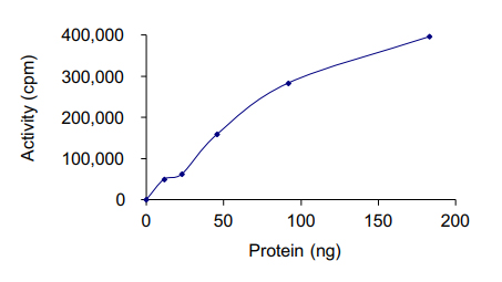 Recombinant human IRAK4 protein