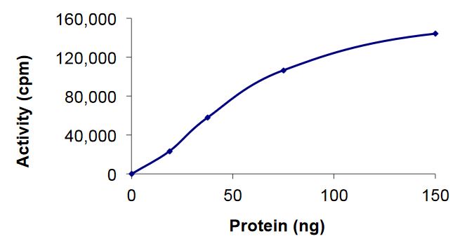 Recombinant human IRE1 protein (Active)