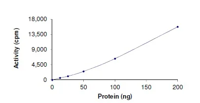Functional Studies - Recombinant human IRE1b protein (GST tag N-Terminus) (AB190994)