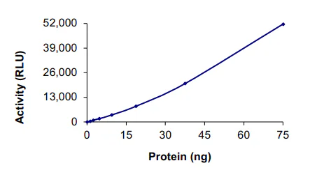 Functional Studies - Recombinant human IRE1b protein (GST tag N-Terminus) (AB190994)
