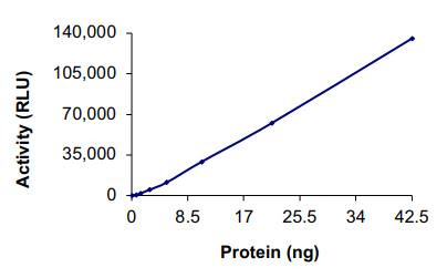 Recombinant human ITK/EMT protein