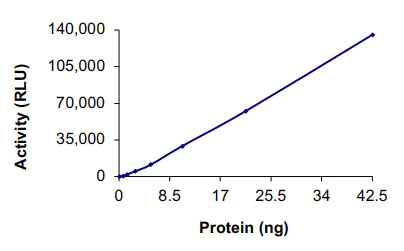 Functional Studies - Recombinant human ITK/EMT protein (AB60300)