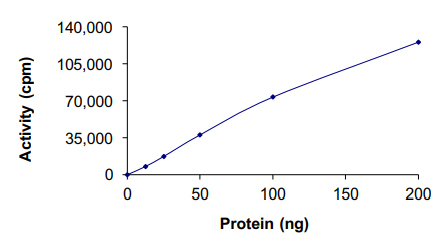 Functional Studies - Recombinant human ITK/EMT protein (Active) (AB204156)