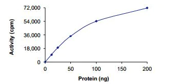 Functional Studies - Recombinant human ITK/EMT protein (Active) (AB204156)