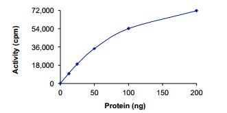 Functional Studies - Recombinant human ITK/EMT protein (Active) (GST tag N-Terminus) (AB204156)