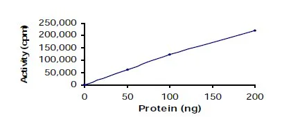 Functional Studies - Recombinant human ITK/EMT protein (GST tag N-Terminus) (AB60300)
