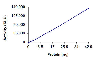 Functional Studies - Recombinant human ITK/EMT protein (GST tag N-Terminus) (AB60300)