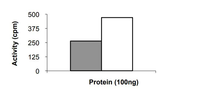 Functional Studies - Recombinant Human JAK1 (mutated E966V) protein (GST tag N-Terminus) (AB268687)