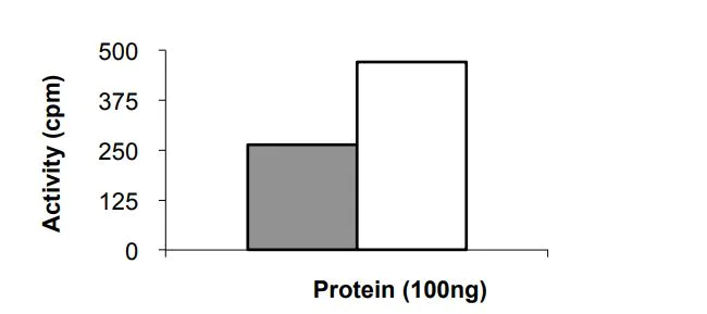 Functional Studies - Recombinant Human JAK1 (mutated E966V) protein (Tagged) (AB268687)