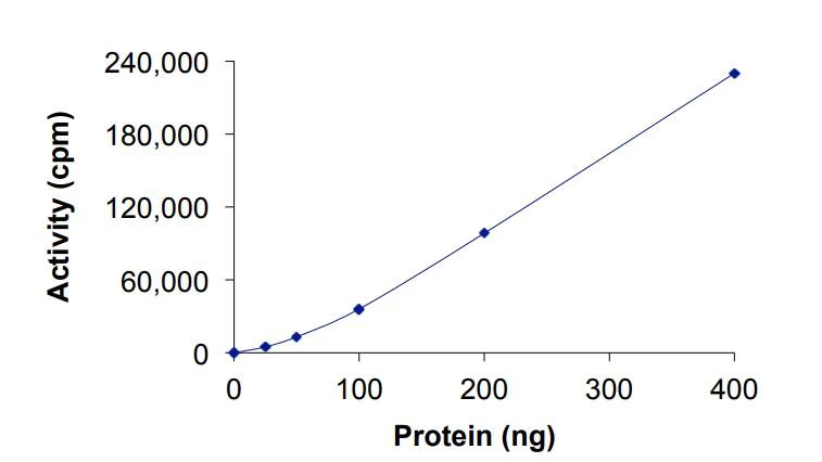 Functional Studies - Recombinant human JAK1 (mutated R724H) protein (Active) (AB268689)