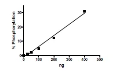 Functional Studies - Recombinant human JAK1 protein (Active) (AB216194)