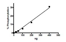 Functional Studies - Recombinant human JAK1 protein (Active) (GST tag N-Terminus) (AB216194)