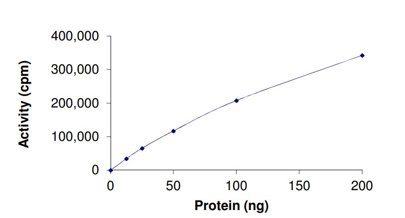 Functional Studies - Recombinant human JAK2 protein (Active) (AB268691), expandable thumbnail