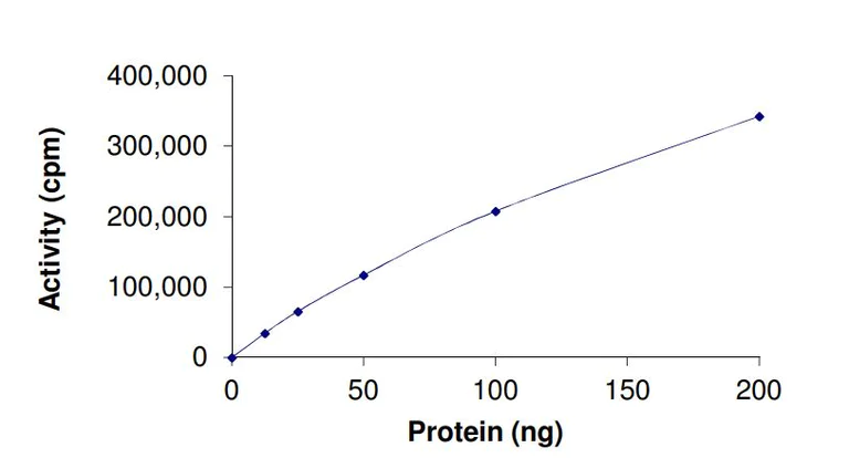 Functional Studies - Recombinant human JAK2 protein (Active) (AB268691)