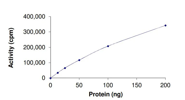 Functional Studies - Recombinant human JAK2 protein (Active) (GST tag N-Terminus) (AB268691)