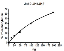 Functional Studies - Recombinant human JAK2 protein (His tag N-Terminus + GST tag N-Terminus) (AB42621)
