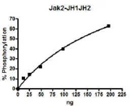 Functional Studies - Recombinant human JAK2 protein (His tag N-Terminus + GST tag N-Terminus) (AB42621)