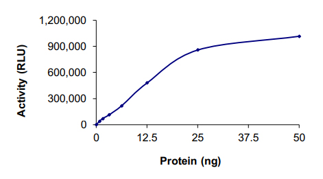 Functional Studies - Recombinant human JAK3 protein (AB89756)