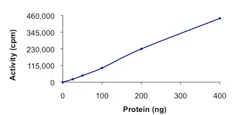 Functional Studies - Recombinant human JAK3 protein (AB89756)