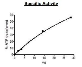 Functional Studies - Recombinant human JAK3 protein (Active) (AB89982)