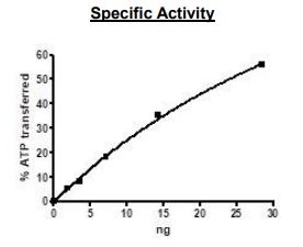 Functional Studies - Recombinant human JAK3 protein (Active) (His tag N-Terminus) (AB89982)