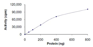 Functional Studies - Recombinant human JNK2 protein (AB119726)