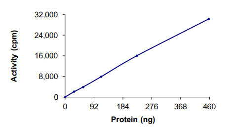 Functional Studies - Recombinant human JNK2 protein (AB119726), expandable thumbnail