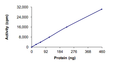 Functional Studies - Recombinant human JNK2 protein (AB119726)
