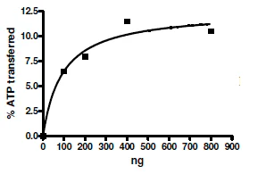 Functional Studies - Recombinant human JNK3 protein (GST tag N-Terminus) (AB196055)