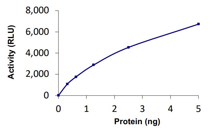 Recombinant human Josephin-2 protein (Active)