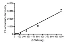 Functional Studies - Recombinant human KAT2A / GCN5 protein (DDDDK tag C-Terminus) (AB198084)
