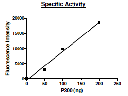 Functional Studies - Recombinant human KAT3B / p300 protein (6x His tag N-Terminus + GST tag N-Terminus) (AB198138)