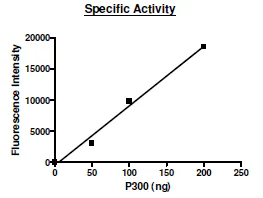 Functional Studies - Recombinant human KAT3B / p300 protein (6x His tag N-Terminus + GST tag N-Terminus) (AB198138)