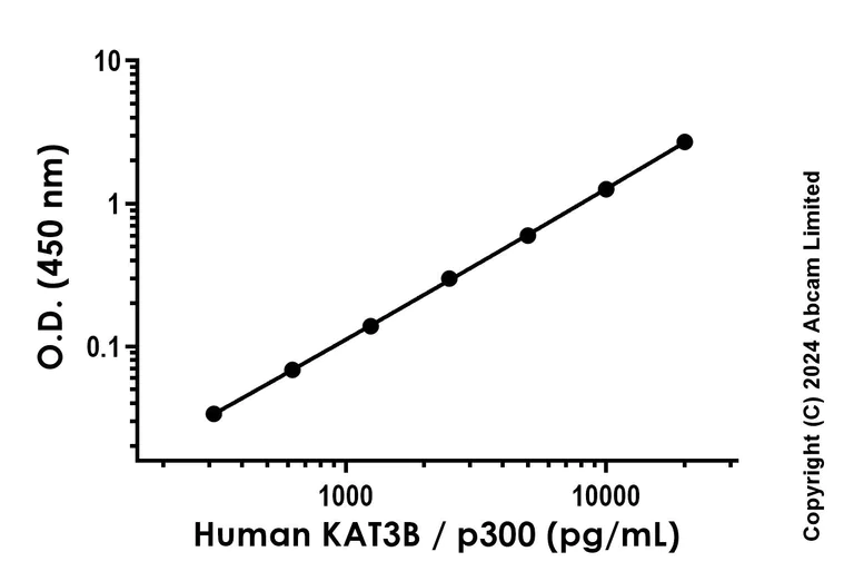 Sandwich ELISA - Recombinant Human KAT3B/p300 Protein Standard (His tag) (AB323146)