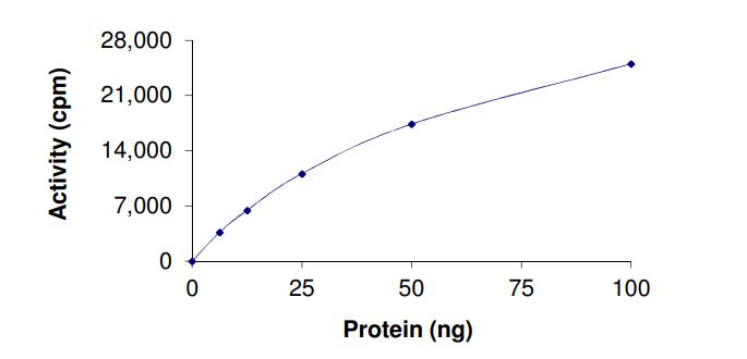 Functional Studies - Recombinant human KAT5 / Tip60 protein (Active) (AB268696)