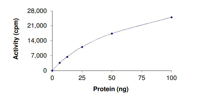 Functional Studies - Recombinant human KAT5 / Tip60 protein (Active) (GST tag N-Terminus) (AB268696)