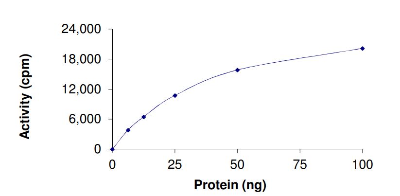 Functional Studies - Recombinant human KAT6B / MORF protein (Active) (AB268697), expandable thumbnail