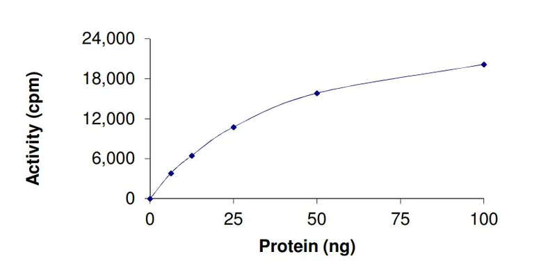 Functional Studies - Recombinant human KAT6B / MORF protein (Active) (AB268697)